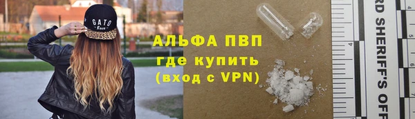 мет Алексин