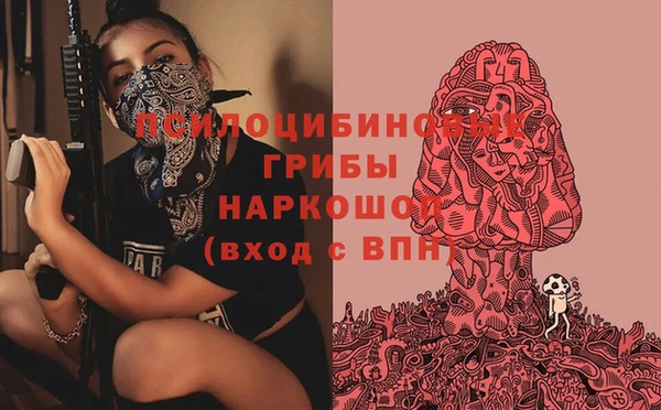 мет Алексин
