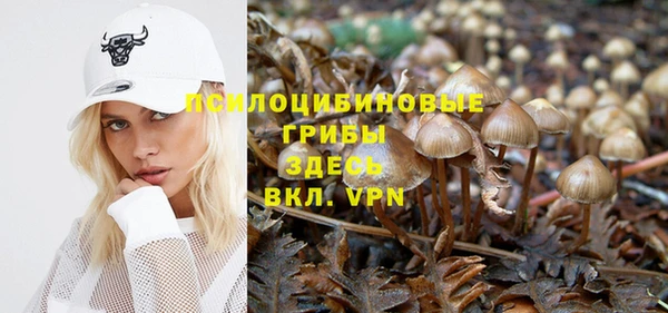 мет Алексин
