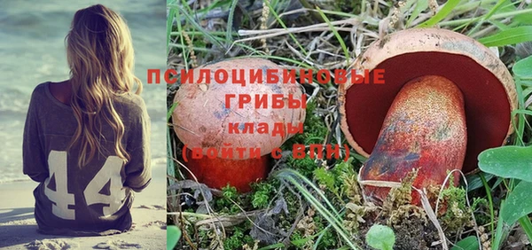 синтетический гашиш Алексеевка