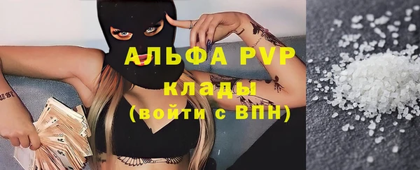 мет Алексин